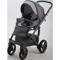 Универсальная коляска Adamex Encore (2 в 1, X1)