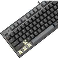 Клавиатура A4Tech Fstyler FS100 Neon (серый/черный)