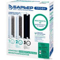 Комплект картриджей БАРЬЕР Профи Жесткость Х2 (комплект картриджей)