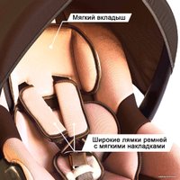 Детское автокресло Zlatek Colibri Lux (коричневый)