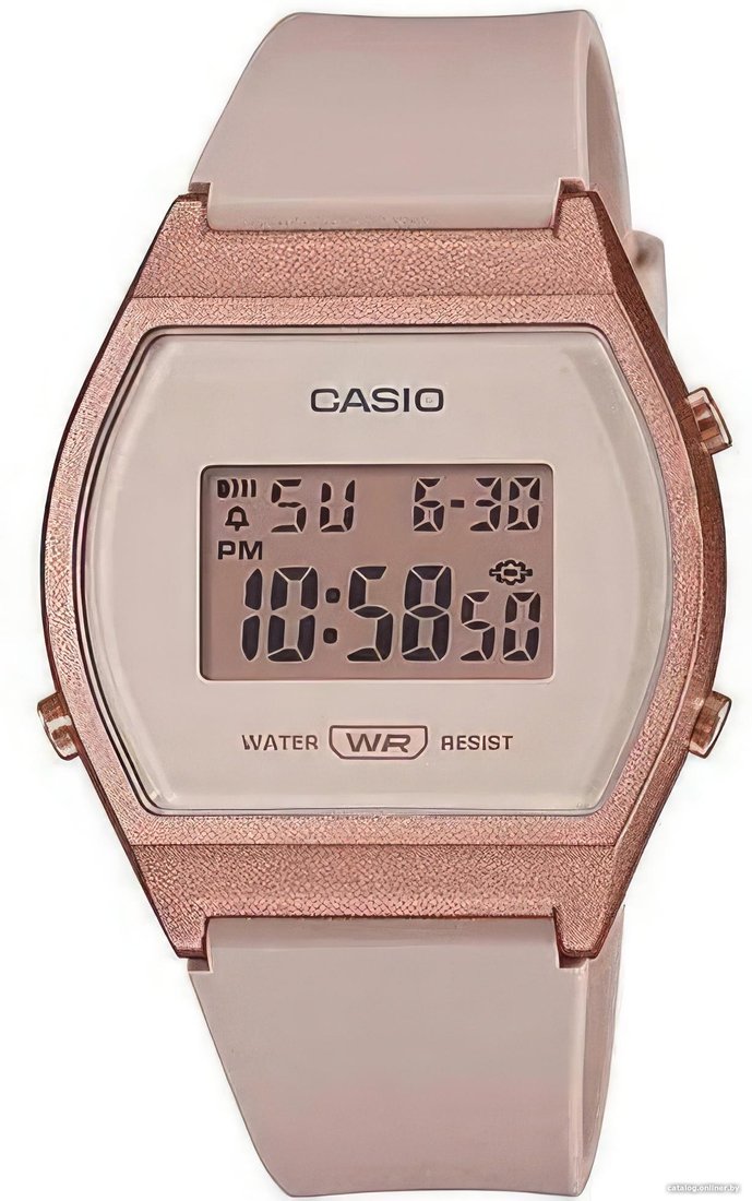 Наручные часы Casio Collection LW-204-4A