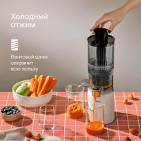 Соковыжималка Tuvio TJ04PM в Витебске