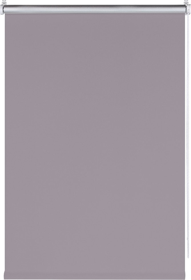

Рулонные шторы Franc Gardiner Blackout Silver 120x160 7792140 (серый)