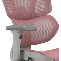 Офисное кресло Evolution LX 3 Burgundy (розовый)