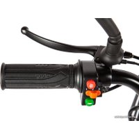 Электровелосипед Eltreco Green City E-Alfa GL (серый)