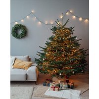 Ель HD Nordic Trees Nordmann Датская Премиум (1.7-2.0 м, срезанная)