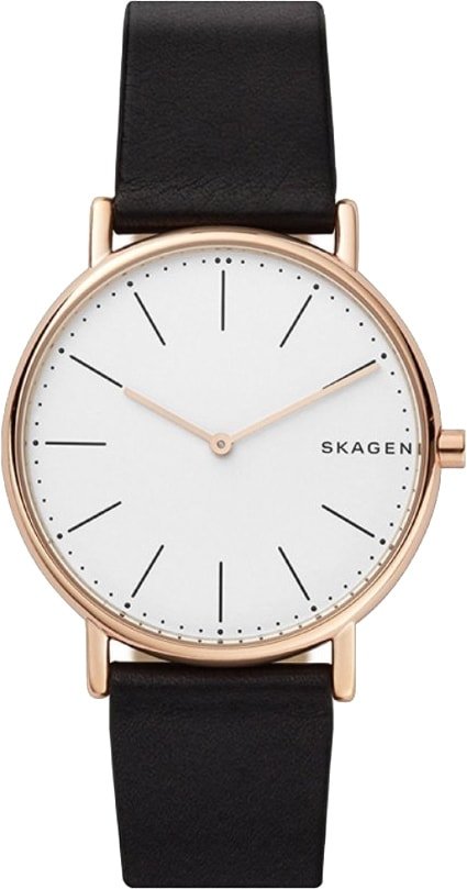 

Наручные часы Skagen SKW6430