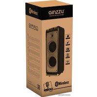 Патибокс Ginzzu GM-205