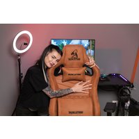 Игровое (геймерское) кресло Evolution Nomad (коричневый)
