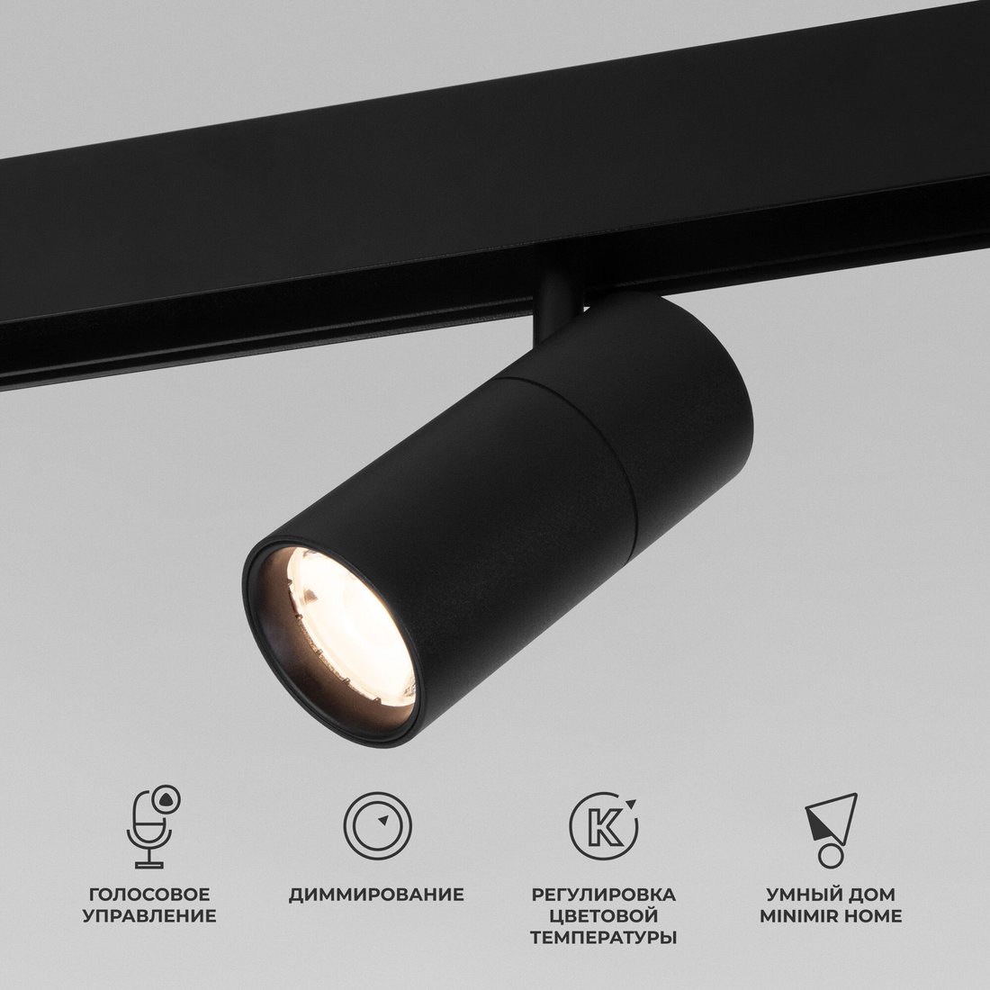 

Трековый светильник Elektrostandard Dim R01 85074/01 (черный)