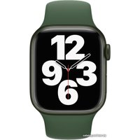 Ремешок Apple Sport Band Demo 3J605 (45 мм, зеленый клевер, размер R)