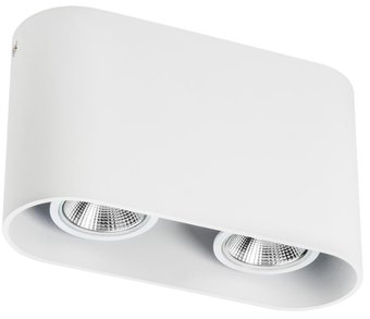 Точечный светильник Lightstar Rullo 2xHP16 214866