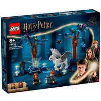 Конструктор LEGO Harry Potter Запретный лес: Волшебные существа 76432