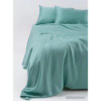 2-спальный комплект постельного белья GoodNight Essential 2 383567 (мятный)