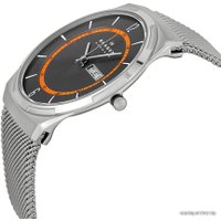Наручные часы Skagen SKW6007
