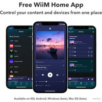 Сетевой интегральный усилитель WiiM Amp (серый)