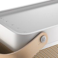 Беспроводная колонка Bang & Olufsen Beolit 20 (серый)