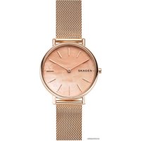 Наручные часы Skagen SKW2732