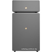 Беспроводная аудиосистема Audio Pro Drumfire II (серый)