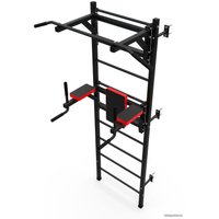 Шведская стенка (лестница) DFC D-123