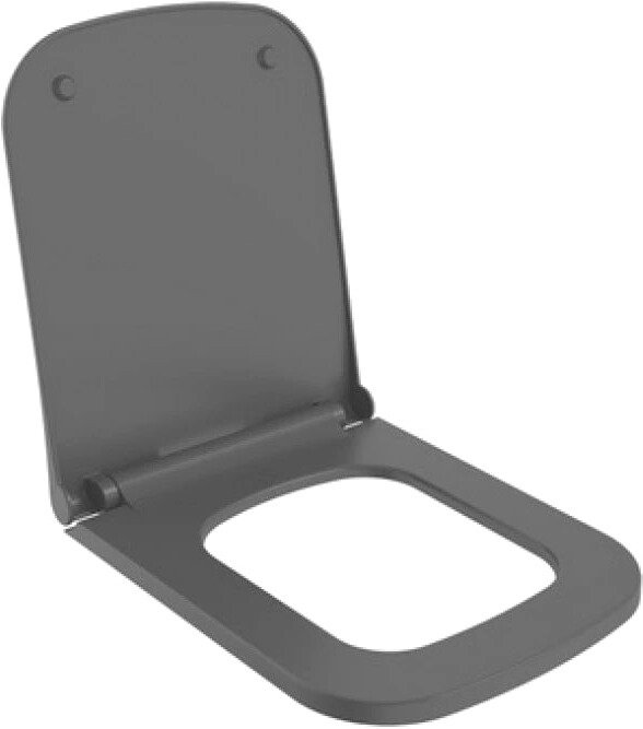 

Сиденье для унитаза Ambassador Benefit 202T20201S (черный матовый)