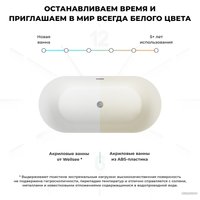 Ванна Wellsee Chalice Perfection 166x77 230601003 (отдельностоящая ванна белый глянец, экран, ножки, сифон-автомат матовый черный)