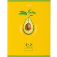 Тетрадь предметная BRAUBERG Avocado 404325 (10шт)