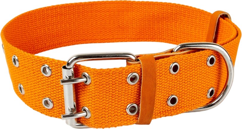 

Ошейник Zoonik 10176-2 (оранжевый)