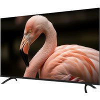 Телевизор Topdevice 43" WILDRED TDWC43BF2110V