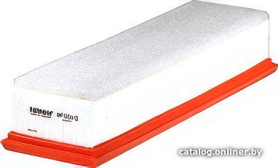 Воздушный фильтр Filtron AP031/2