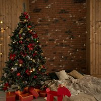 Ель Erbis Anna с белыми кончиками 120