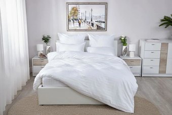 Евро комплект постельного белья Loon Stripe (евро, наволочки 50х70, белый)