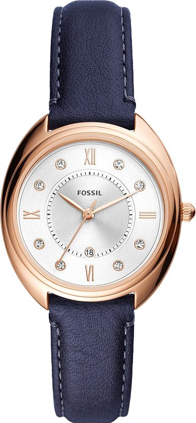 

Наручные часы Fossil Gabby ES5116