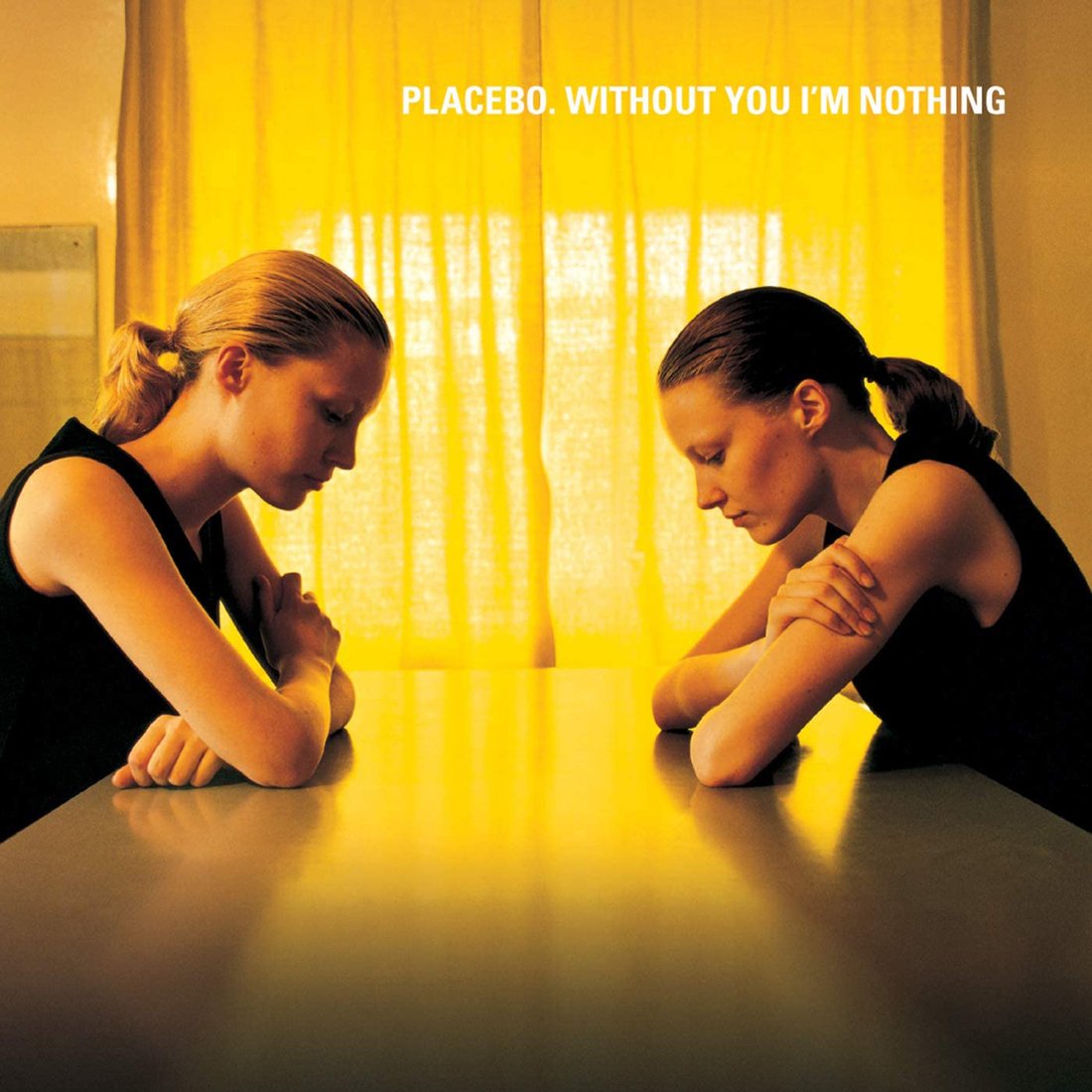

Виниловая пластинка Placebo - Without You I'm Nothing
