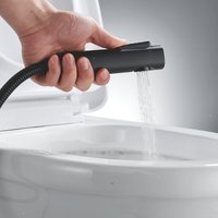 Гигиенический душ Shevanik S4105H-1