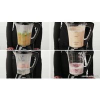 Стационарный блендер Tristar BL-4433