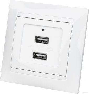 Розетка USB TDM Electric Лама SQ1815-0041