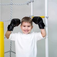 Перчатки для бокса Romana МФ-МК-01.71.03 (черный)