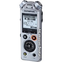 Диктофон Olympus LS-P1