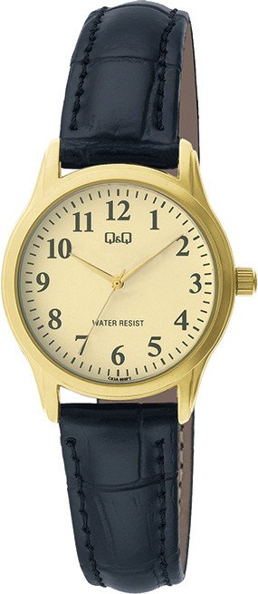 

Наручные часы Q&Q Standard C03AJ008