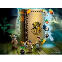 Конструктор LEGO Harry Potter 76384 Учеба в Хогвартсе: Урок травологии