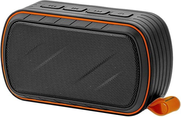 

Беспроводная колонка Redmond Sound Sport