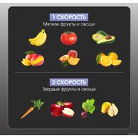 Соковыжималка Zigmund & Shtain EJ-757