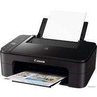 Принтер Canon PIXMA TS3350 3771C006