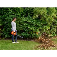 Ручная воздуходувка Black & Decker BCBL200L25-QW (с 1-им АКБ)