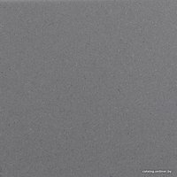 Кухонная мойка Aquasanita Arca SQA101W (alumetallic 202)