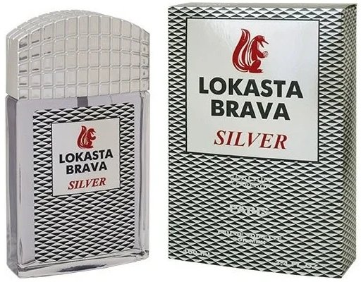 

Туалетная вода Positive Parfum Lokasta Brava Silver for Men EdT (100 мл)
