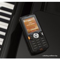Телефон Sony Ericsson W810i Walkman