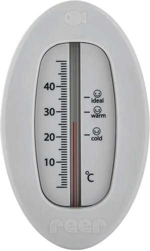 Термометр Reer Овальный безртутный 24112 (серый)