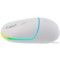 Мышь Canyon MW-22 (белый)